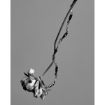 Vine Necklace - Crush Jewel -  Eclectic Artisans