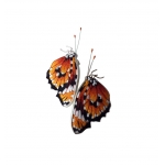 Butterfly Earrings -   -  Eclectic Artisans